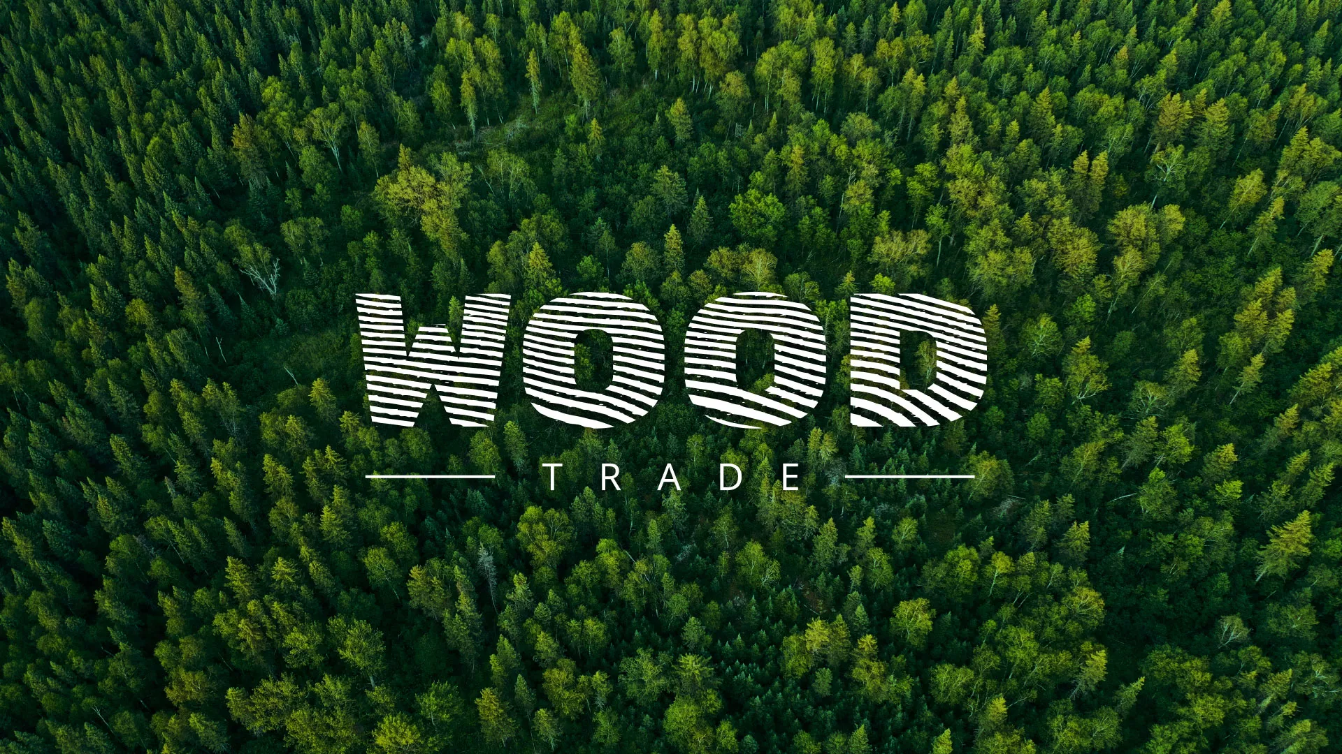 Разработка интернет-магазина компании «Wood Trade» в Подольске