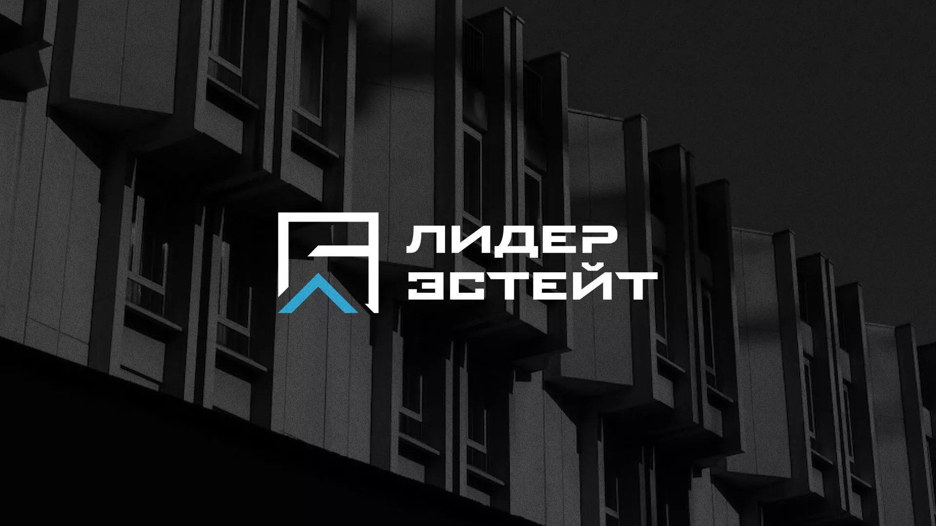 Разработка логотипа агентства недвижимости «Лидер Эстейт» в Подольске